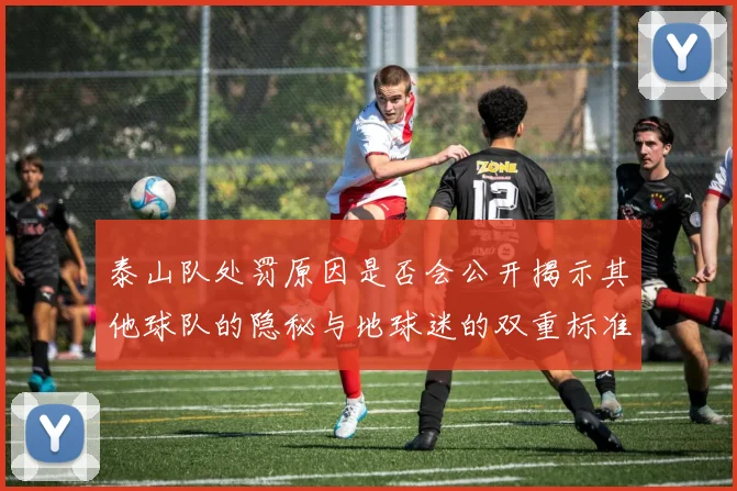 泰山队处罚原因是否会公开揭示其他球队的隐秘与地球迷的双重标准
